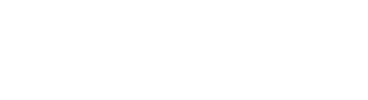 Turkish Cargo